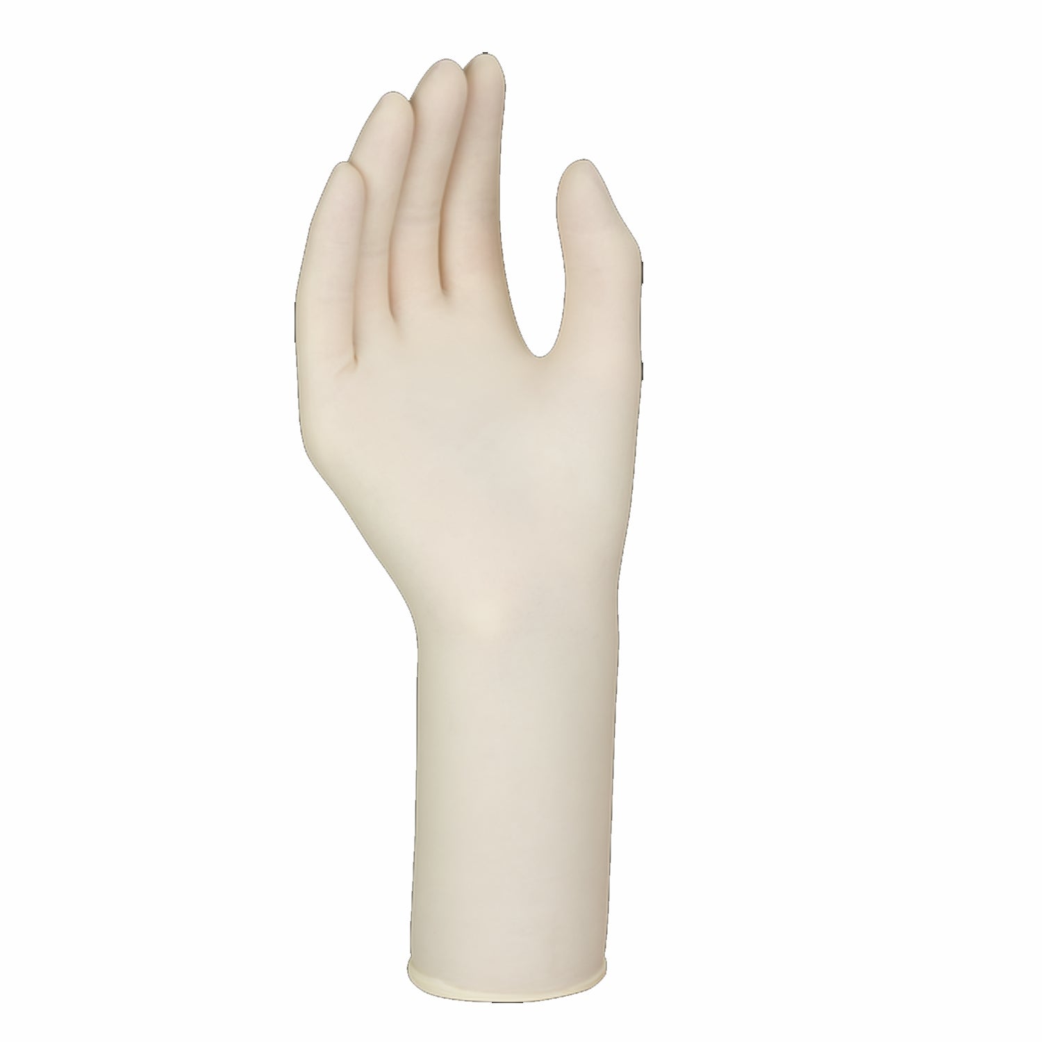 50 guanti Guanti chirurgici con lattice naturale in polvere santex powdered Mercator AQL 0,65