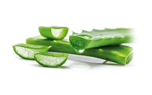 Guanti monouso in lattice aloe vera verde pz.100 Reflexx L600 gr. 6,20